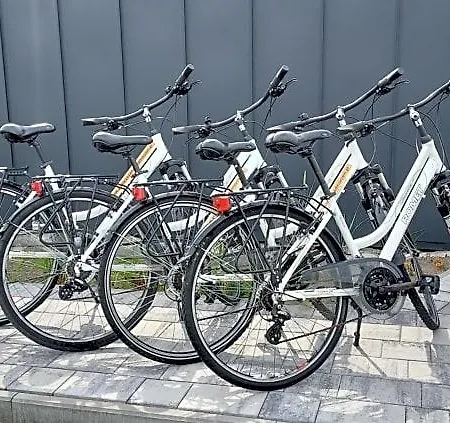 Gemini Minidomki Hytte *